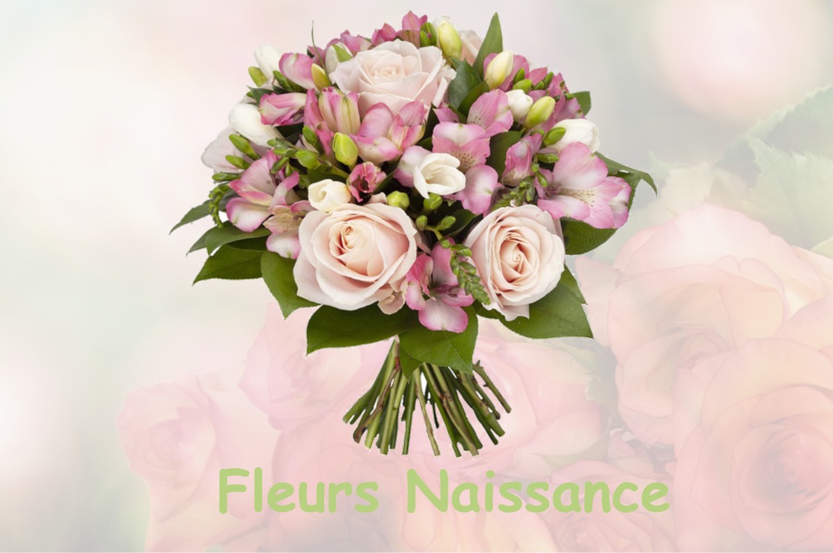 fleurs naissance LE-CHATELET-SUR-MEUSE