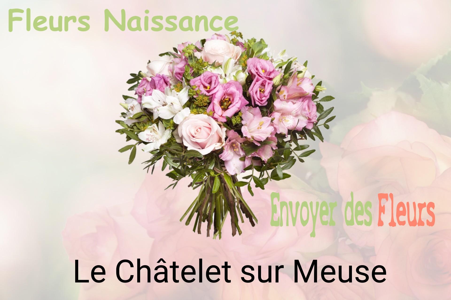 Bouquet de fleurs de naissance livré à Le Châtelet-sur-Meuse