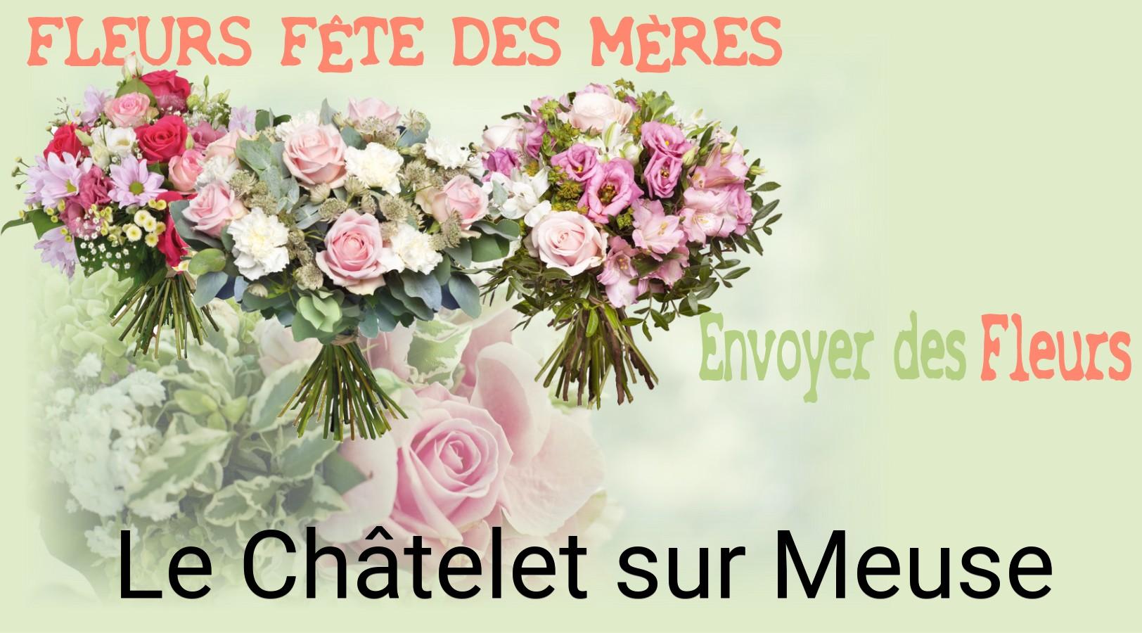 Bouquet de Fête des Mères livré à Le Châtelet-sur-Meuse